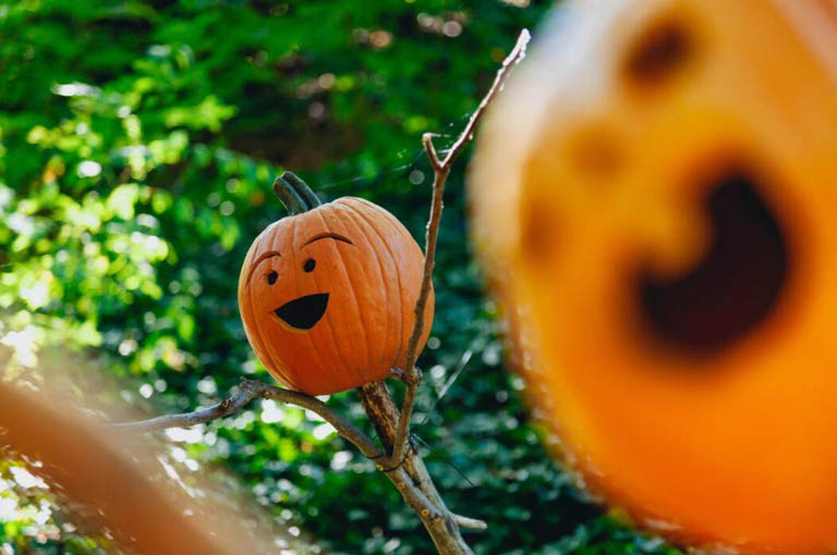 pumpkin lantern